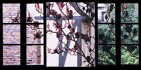 Flowers and Grapes stained Glass